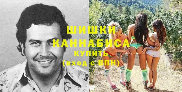 экстази Гусь-Хрустальный