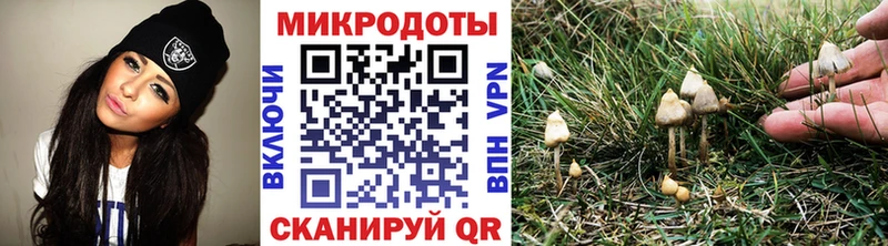 Псилоцибиновые грибы Psilocybe  Купить где  Княгинино 